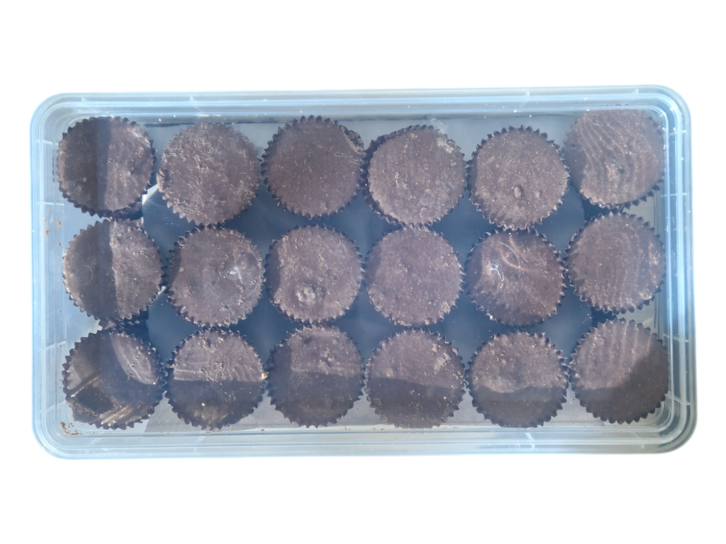 OPEO chocolat roch 70p 10d