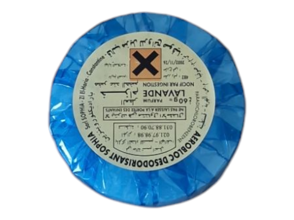 BLOC WC sans cajette