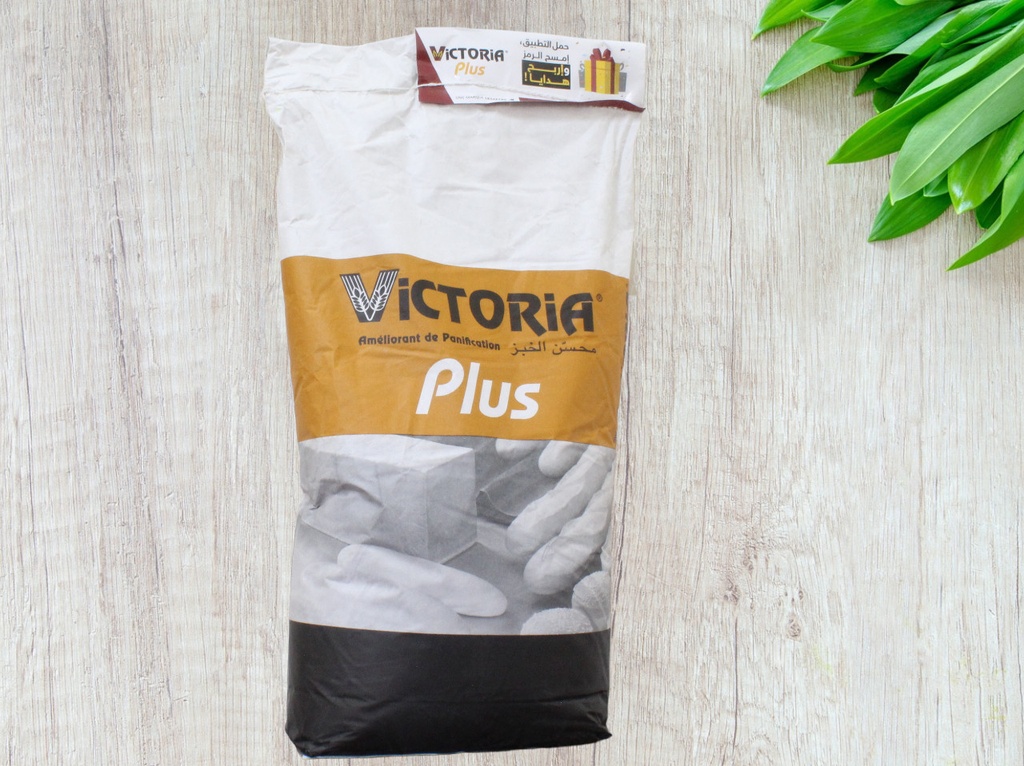 VICTORIA améliorant de panification 10kg