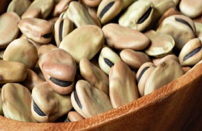 FEVE vrac 1chois excellents 25k