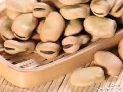 FEVE vrac 1chois 25k