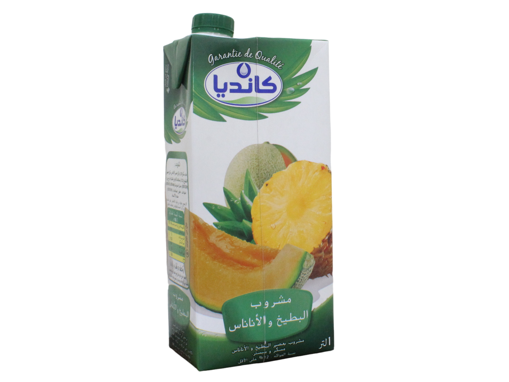CANDIA  boisson melon & ananas 1l