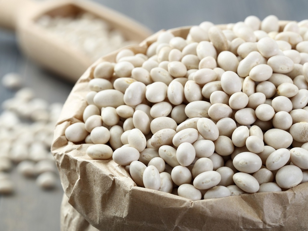 EL BAKAL haricot blant vrac 10kg