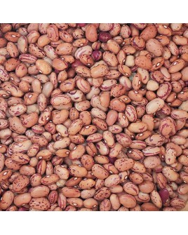 EL BAKAL haricot grine vrac 15kg