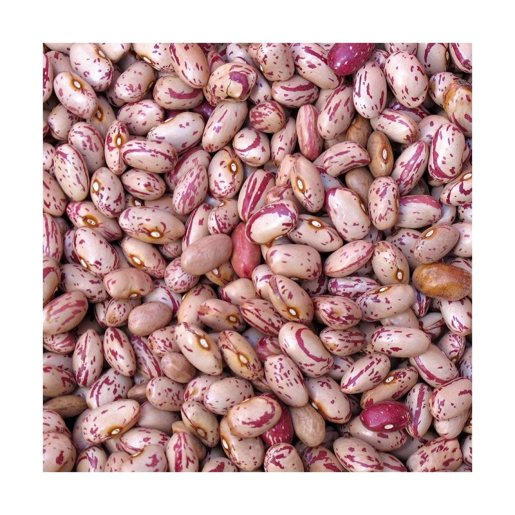 HARICOT ROUGE -Vrac- el diwen