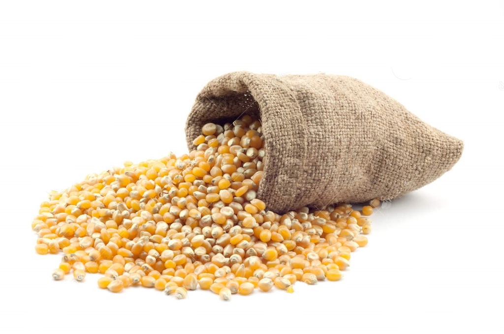 MAIS sac vrac 20kg
