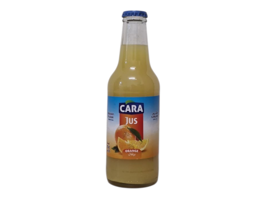 CARA jus cocktail 25cl